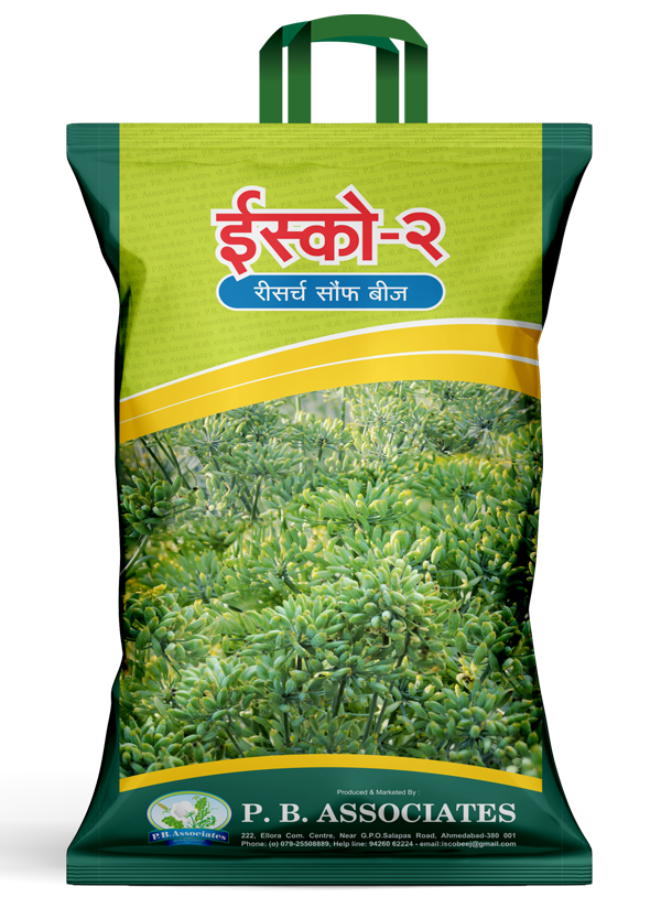 Researched Fennel Seeds