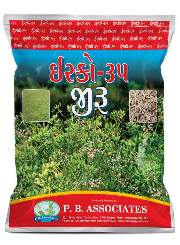 Researched Fennel Seeds