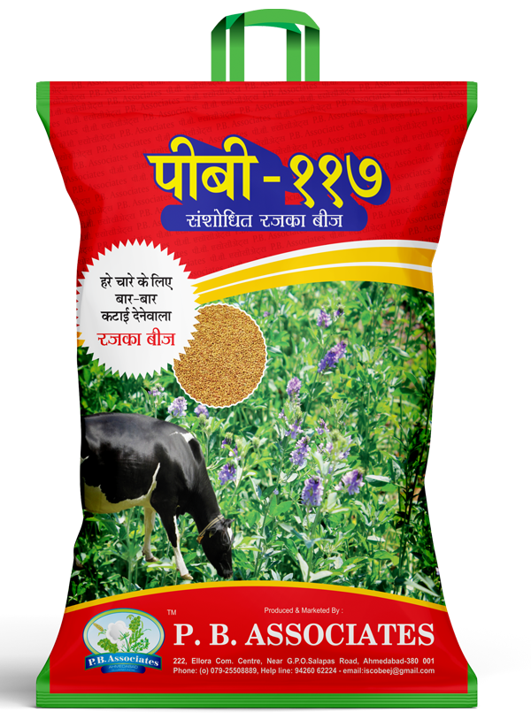 Researched Cowpea or Chawli Beans